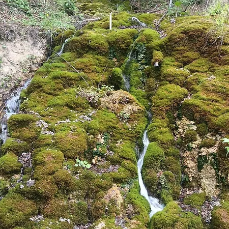 Povlen