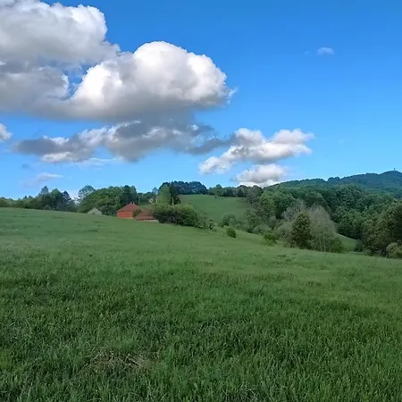 Povlen * Prokici